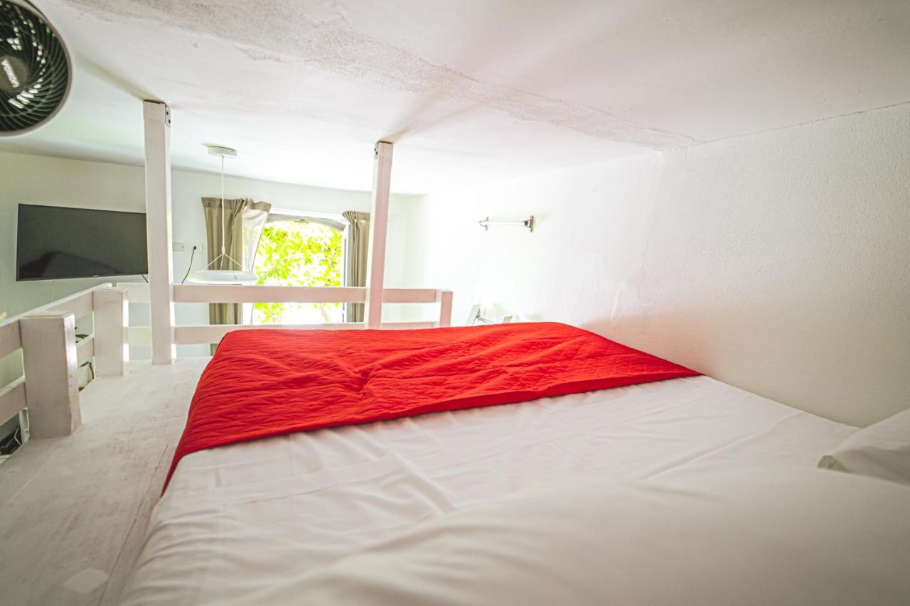 Avocadohouse2Vistaterme Apartment San Pellegrino Terme Ngoại thất bức ảnh